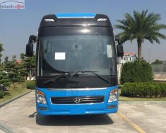 Hyundai Universe Premium 410PS 2019 - Bán Hyundai Universe Premium 410PS sản xuất 2019, màu xanh lam giá 3 tỷ 690 tr tại Đà Nẵng