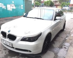 BMW 5 Series   530i  AT 2005 - Bán BMW 5 Series 530i  AT đời 2005, màu trắng, nhập khẩu nguyên chiếc chính chủ giá 350 triệu tại Tp.HCM