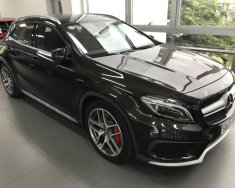 Mercedes-Benz GLA-Class GLA 45 2017 - Cần bán Mercedes-Benz GLA 45 2017, màu nâu, chính hãng, xe mới chạy lướt 1600km giá 1 tỷ 570 tr tại Tp.HCM