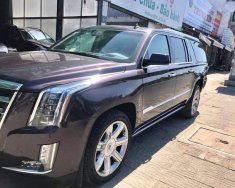 Cadillac Escalade ESV Premium 6.2L 2014 - Bán Cadillac Escalade ESV Premium 6.2L năm sản xuất 2014, nhập khẩu giá 4 tỷ 950 tr tại Tp.HCM