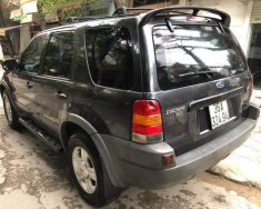 Ford Escape 2002 - Bán xe Ford Escape 2002, màu xám, giá 230tr giá 230 triệu tại Thanh Hóa