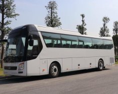 Hyundai Universe Avanced 380Ps 2018 - Bán Hyundai Universe Avanced 45 + 2 chỗ - sang trọng vượt ngoài trí tưởng tượng giá 3 tỷ 500 tr tại Đà Nẵng