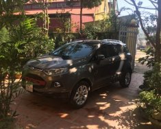 Ford EcoSport   1.5 AT Titanium 2014 - Cần bán gấp Ford EcoSport đời 2014, màu xám xe gia đình giá 490 triệu tại Lạng Sơn
