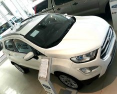 Ford EcoSport Titanium 1.5L 2019 - Bán Ford EcoSport Titanium 1.5L đời 2019, màu trắng, giá sốc cuối năm giá 590 triệu tại Vĩnh Long