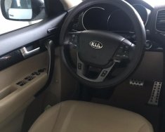 Kia Sorento DATH 2017 - Xe Kia Sorento DATH đời 2017, màu trắng chính chủ giá 880 triệu tại Nghệ An