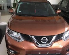 Nissan X trail   SV 2.5  2017 - Cần bán xe Nissan X trail SV 2.5 năm sản xuất 2017, nhập khẩu như mới giá 930 triệu tại Đắk Lắk