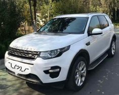 LandRover Discovery 2017 - Bán ô tô LandRover Discovery đời 2017, màu trắng, nhập khẩu nguyên chiếc giá 1 tỷ 200 tr tại Hà Nội