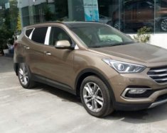 Hyundai Santa Fe 2016 - Bán ô tô Hyundai Santa Fe sản xuất 2016, màu nâu giá 901 triệu tại Quảng Bình