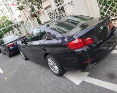 BMW 5 Series 523i 2010 - Cần bán gấp BMW 5 Series 523i 2010, màu đen, đăng ký tháng 11 năm 2010 giá 850 triệu tại Hà Nội