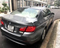 BMW 5 Series 528i 2010 - Bán BMW 5 Series 528i đời 2010, màu xám, nhập khẩu nguyên chiếc  giá 1 tỷ 50 tr tại Tp.HCM