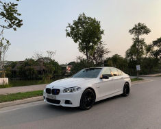 BMW 5 Series 520i 2013 - Bán xe BMW 5 Series đời 2014, màu trắng, nhập khẩu giá 1 tỷ 350 tr tại Hà Nội