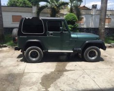 Jeep Wrangler 1980 - Cần bán gấp Jeep Wrangler đời 1980, nhập khẩu nguyên chiếc   giá 170 triệu tại Bình Dương