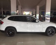 BMW X1 2010 - Bán xe BMW X1 đời 2010, màu trắng giá 615 triệu tại Đồng Nai