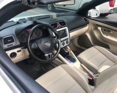 Volkswagen Eos   2011 - Bán ô tô Volkswagen Eos sản xuất năm 2011, màu trắng giá 798 triệu tại Hà Nội