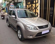 Ford Escape XLS 2010 - Gia đình cần bán Escape XLS 2010, số tự động, màu bạc giá 387 triệu tại Tp.HCM