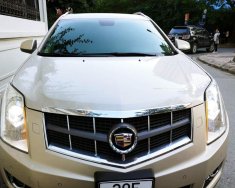 Cadillac SRX 2010 - Bán Cadillac SRX 2011 màu vàng Luxury giá 1 tỷ 39 tr tại Hà Nội