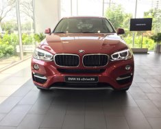 BMW X6 2018 - Bán xe BMW X6 sản xuất 2018 giá 3 tỷ 969 tr tại Tp.HCM