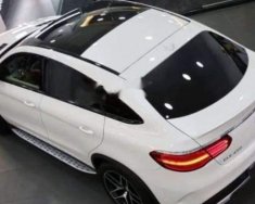 Mercedes-Benz GLE-Class GLE 43 Coupe 4Matic 2018 - Bán xe Mercedes GLE 43 Coupe 4Matic sản xuất 2018, màu trắng, nhập khẩu nguyên chiếc giá 4 tỷ 559 tr tại Tp.HCM