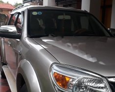 Ford Everest 2.5L 4x2 MT 2009 - Bán ô tô Ford Everest 2.5L 4x2 MT 2009, màu vàng cát, 455tr giá 455 triệu tại Quảng Bình