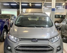 Ford EcoSport AT 2015 - Bán Ford EcoSport sản xuất năm 2015, màu bạc, xe chính chủ giá 477 triệu tại Tp.HCM