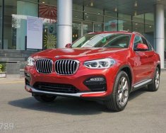 BMW X4 xDrive20i 2018 - Bán BMW X4 mới - chưa đăng ký giá 2 tỷ 959 tr tại Đà Nẵng