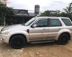 Ford Escape XLS 2.3L 4x2 AT 2009 - Cần bán lại xe Ford Escape XLS 2.3L 4x2 AT đời 2009, màu hồng   giá 385 triệu tại Bắc Kạn