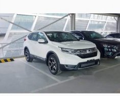 Honda CR V  1.5 E 2018 - Bán Honda CR V năm 2018, màu trắng, nhập khẩu giá 983 triệu tại Bắc Ninh