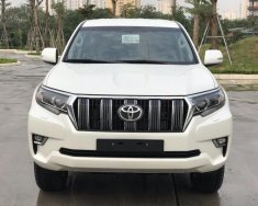 Toyota Land Cruiser Prado VX 2019 - Bán Toyota Land Cruiser Prado mới 100%, NK Nhật Bản, giá tốt, LH 0942.456.838 giá 2 tỷ 340 tr tại Hòa Bình