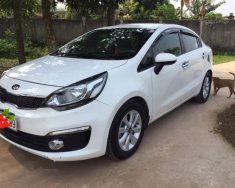 Kia Rio MT 2016 - Bán xe Kia Rio MT đời 2016, màu trắng, nhập khẩu nguyên chiếc  giá 388 triệu tại Nghệ An