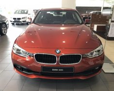 BMW 3 Series 320i  2018 - Cần bán BMW 3 Series 320i đời 2019, màu cam, nhập khẩu giá 1 tỷ 689 tr tại Bình Dương