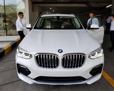 BMW X4 2018 - Bán BMW X4 đời 2019, màu trắng, nhập khẩu giá 2 tỷ 959 tr tại Bình Dương