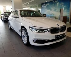 BMW 5 Series 2018 - Bán ô tô BMW 5 Series đời 2019, màu trắng, nhập khẩu nguyên chiếc giá 3 tỷ 69 tr tại Bình Dương