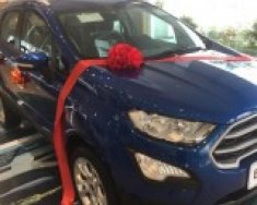 Ford EcoSport Trend 2019 - Bán Ford EcoSport Trend năm sản xuất 2019, màu xanh lam giá cạnh tranh giá 560 triệu tại Hà Nội