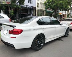 BMW 5 Series 528i 2010 - Bán BMW 5 Series 528i đời 2010, màu trắng, nhập khẩu nguyên chiếc, 980tr giá 980 triệu tại Tp.HCM