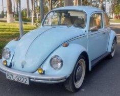 Volkswagen Beetle 1968 - Bán Volkswagen Beetle đời 1968, xe nhập chính chủ giá 250 triệu tại An Giang