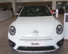 Volkswagen Beetle 2018 - Xe hơi thể thao Volkswagen - Beetle giá 1 tỷ 499 tr tại Tp.HCM