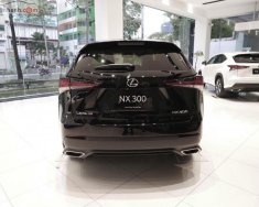 Lexus NX   300 2019 - Bán xe Lexus NX 300 sản xuất 2019, màu đen, nhập khẩu giá 2 tỷ 510 tr tại Tp.HCM
