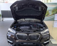 BMW X1 2019 - Cần bán xe BMW X1 đời 2019, màu nâu, xe nhập giá 1 tỷ 829 tr tại Đà Nẵng