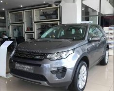 LandRover Discovery  Sport SE  2018 - Cần bán LandRover Discovery Sport SE 2018, màu xám giá 2 tỷ 600 tr tại Tp.HCM