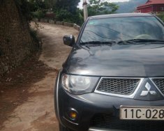 Mitsubishi Triton 2011 - Bán Mitsubishi Triton 2011, màu xám, nhập khẩu giá 375 triệu tại Cao Bằng