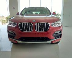 BMW X4 xDrive20i 2018 - Bán BMW X4 tại Đà Nẵng - mới chưa đăng ký giá 2 tỷ 959 tr tại Đà Nẵng