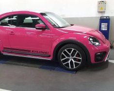 Volkswagen Beetle 2019 - Bán Volkswagen Beetle đời 2019, màu hồng, nhập khẩu giá 1 tỷ 469 tr tại Tp.HCM