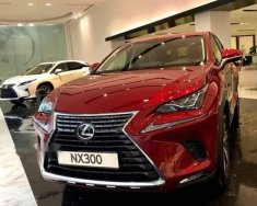 Lexus NX 300 2019 - Cần bán Lexus NX 300 năm 2019, màu đỏ, nhập khẩu nguyên chiếc giá 2 tỷ 510 tr tại BR-Vũng Tàu