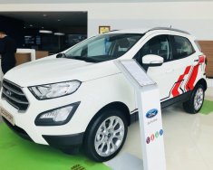 Ford EcoSport Trend 2019 - Bán xe Ford EcoSport Trend năm sản xuất 2019, màu trắng giá 583 triệu tại Tp.HCM