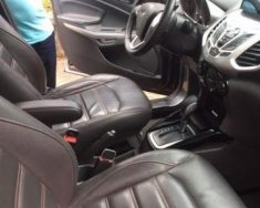 Ford EcoSport   2014 - Bán Ford EcoSport 2014, màu xám, nhập khẩu  giá 365 triệu tại Hà Tĩnh