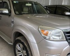 Ford Everest Limited  2009 - Cần bán gấp Ford Everest Limited đời 2009, màu hồng phấn, xe gia đình giá 420 triệu tại Tp.HCM