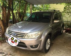 Ford Escape AT 2009 - Cần bán lại xe Ford Escape AT đời 2009, màu bạc chính chủ giá 385 triệu tại Tp.HCM