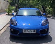 Porsche Cayman 2015 - Bán ô tô Porsche Cayman, màu xanh lam nhập khẩu nguyên chiếc giá 3 tỷ 200 tr tại Tp.HCM