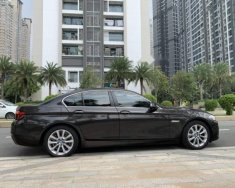 BMW 5 Series 520i 2016 - Cần bán gấp BMW 5 Series 520i sản xuất năm 2016, màu nâu giá 1 tỷ 680 tr tại Tp.HCM