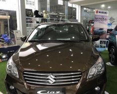 Suzuki Ciaz   1.4 AT 2019 - Bán Suzuki Ciaz 1.4 AT đời 2019, màu nâu, nhập khẩu, giá 499tr giá 499 triệu tại Hải Phòng